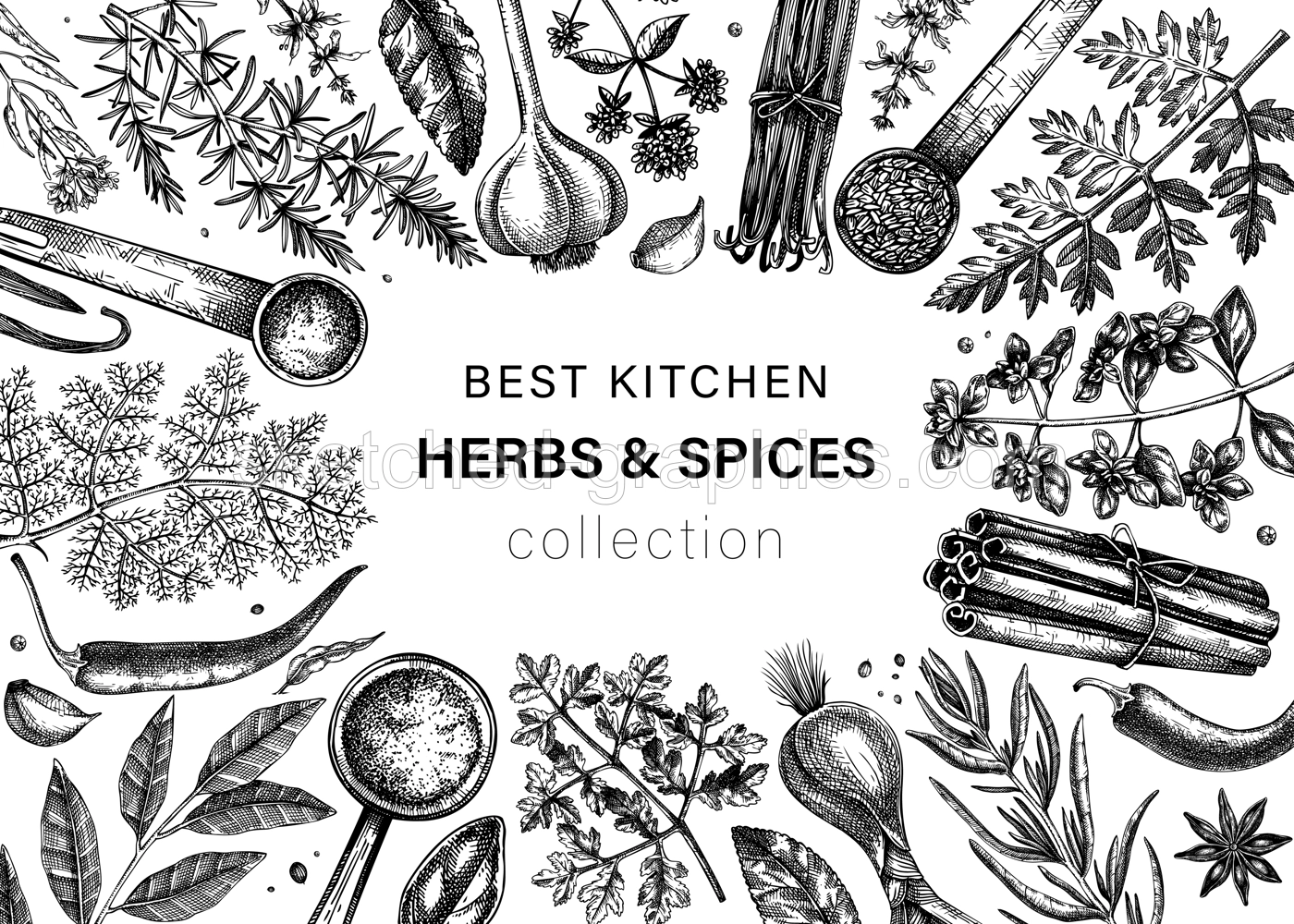 Hand drawn herbs and spices vector frame design. Hand-sketched food illustration. Vintage aromatic plants hand-drawing. Kitchen herbs and spice frame template in sketched style. Illustration